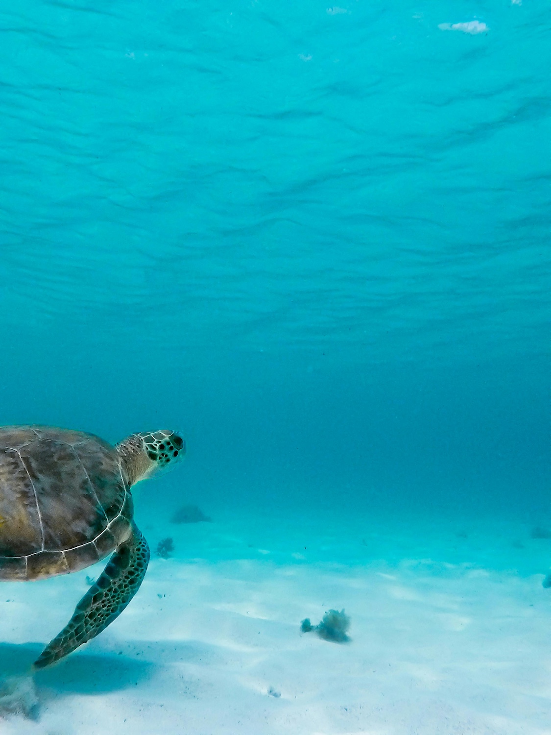 Petite-Terre Guadeloupe