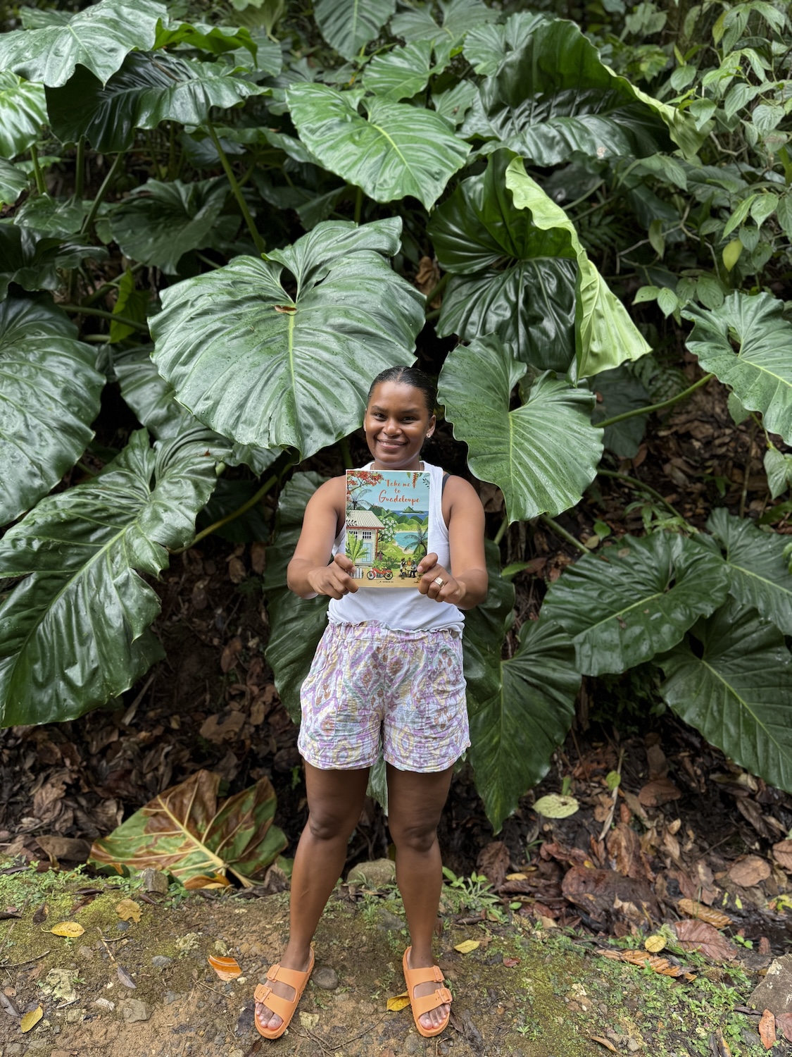 meilleur guide pour visiter la guadeloupe